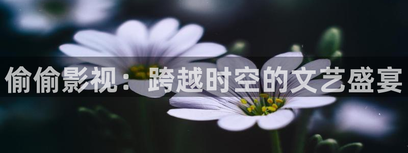 无锡保利影城：偷偷影视：跨越时空的文艺盛宴