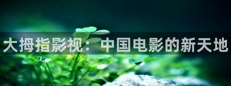 龙旗广场保利影院排片：大拇指影视：中国电影的新天地