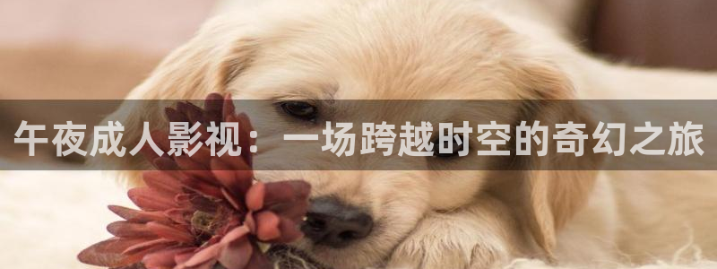 奉节保利万和影院今日影片：午夜成人影视：一场跨越时空的奇幻之旅