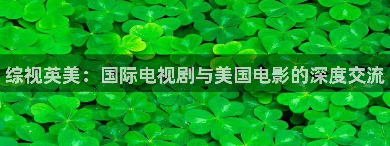 保利电影票价：综视英美：国际电视剧与美国电影的深度交流