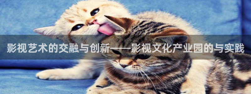 上海保利云间剧场：影视艺术的交融与创新——影视文化产业园的与实践