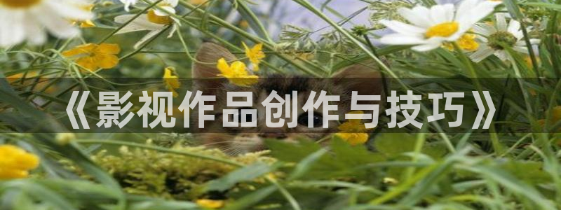 山东保利剧院：《影视作品创作与技巧》