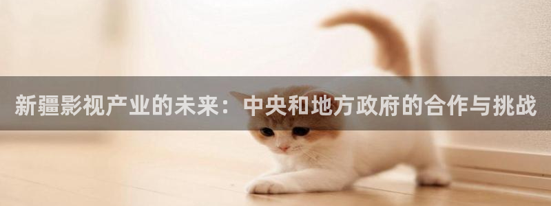 保利国际影城几点开门：新疆影视产业的未来：中央和地方政府的合作与挑战