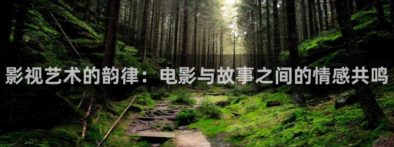 南京保利国际影城：影视艺术的韵律：电影与故事之间的情感共鸣